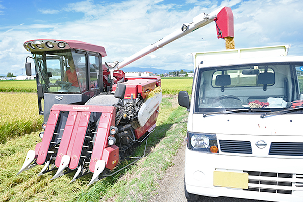 トラクターと軽トラが並んでいる画像